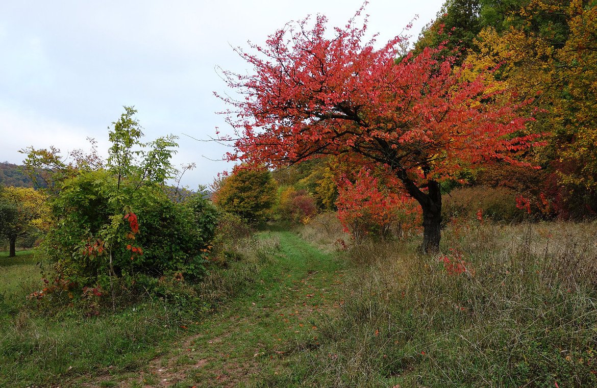 large_20131013_13k.jpg