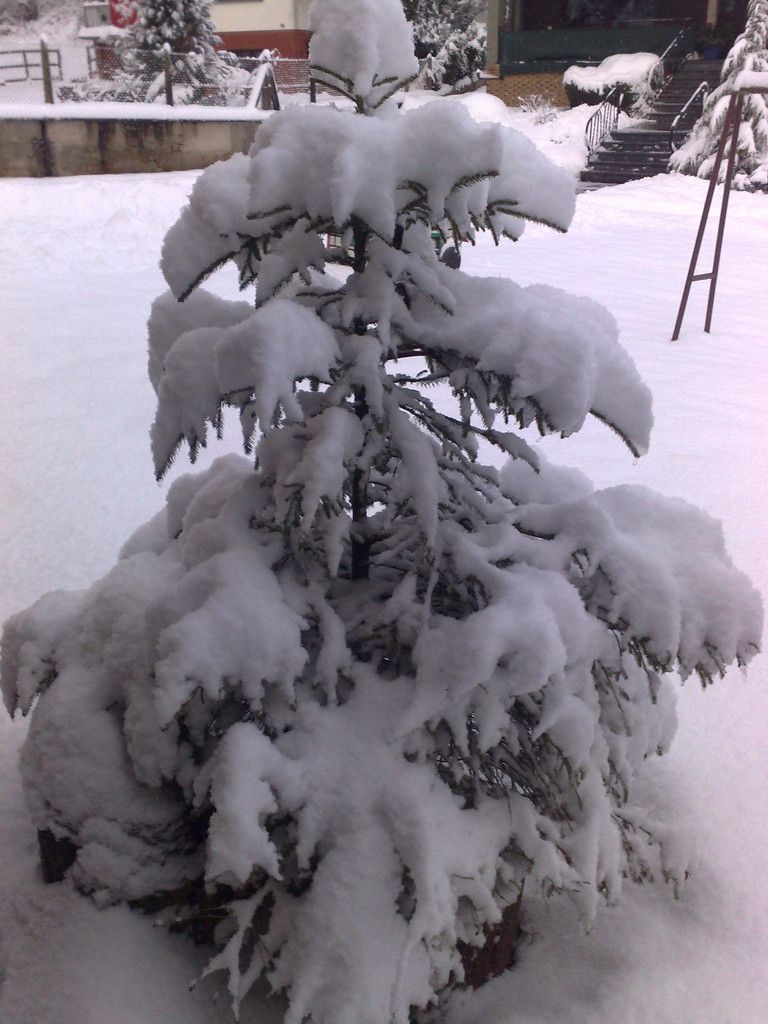 30012010006.jpg