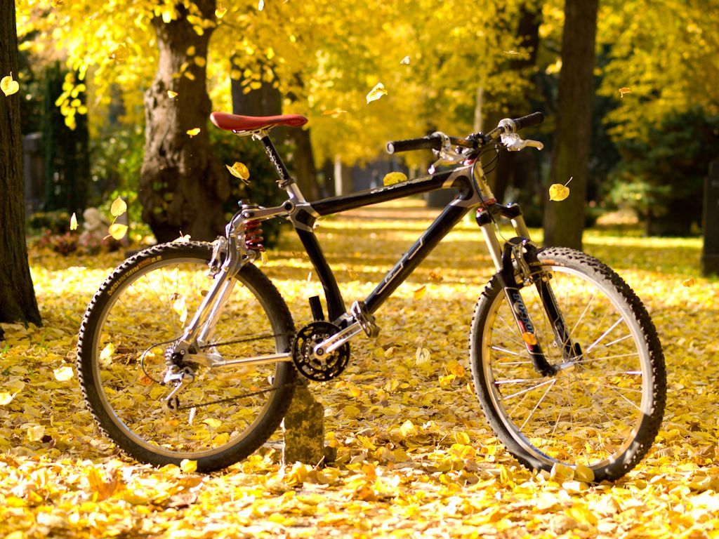 Herbst-6.JPG