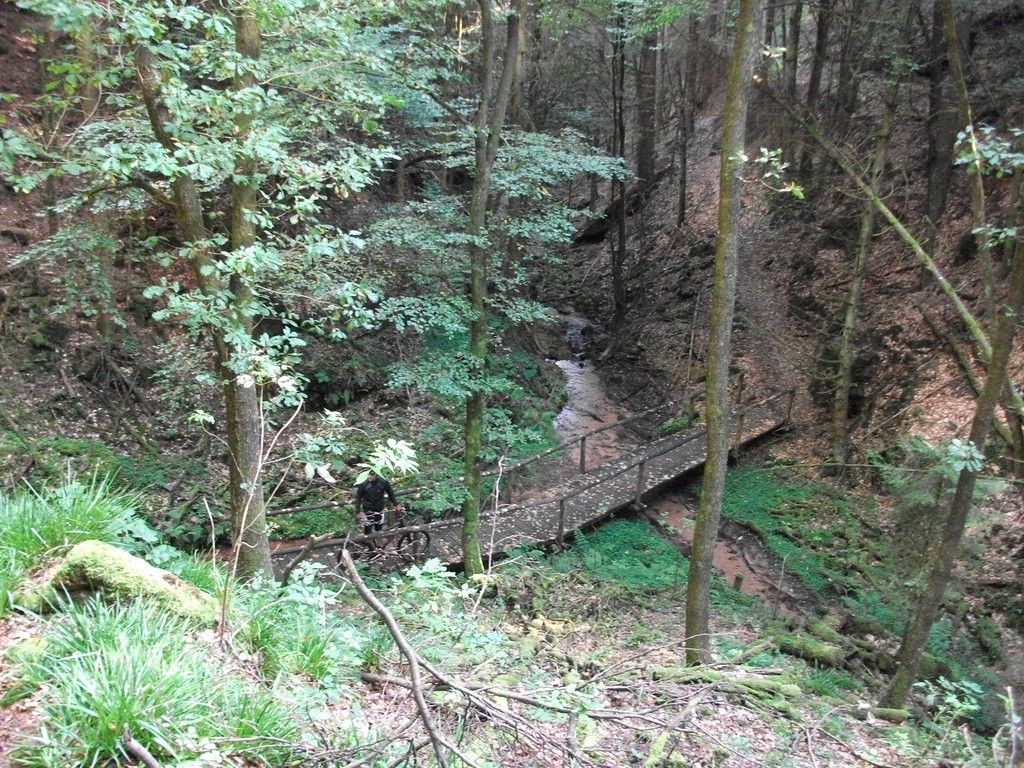 DSCF1606.JPG