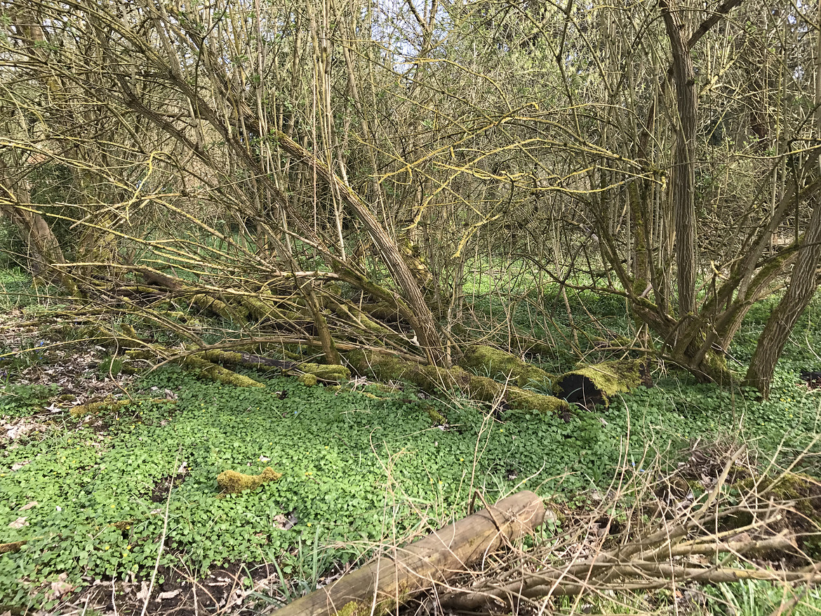 2259404-l9ii3g1n4z2y-2018_04_1516_33_33-large.jpg