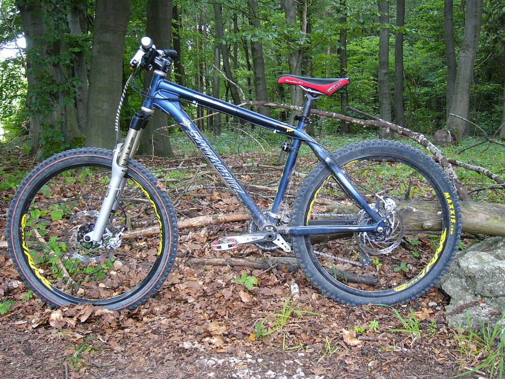 sccseite8.8.09.JPG
