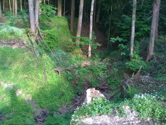 Gehrenberg_Trail_05.JPG