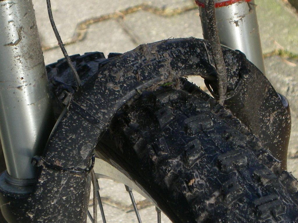 IMGP0549.JPG