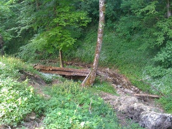 Gehrenberg_Trail_06.JPG