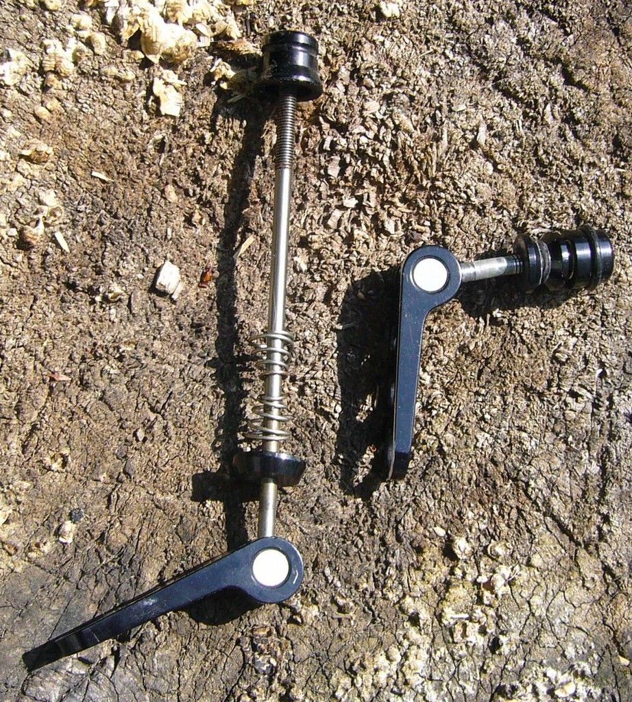 ringle.JPG