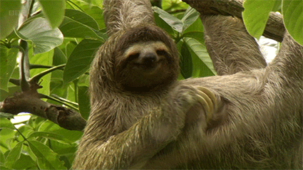 28e93df1d298b142b8d2425d5655cb91.gif
