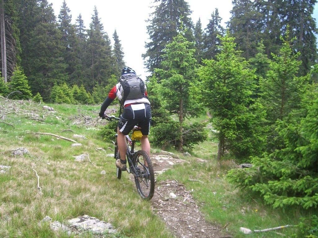 20110617_6.jpg