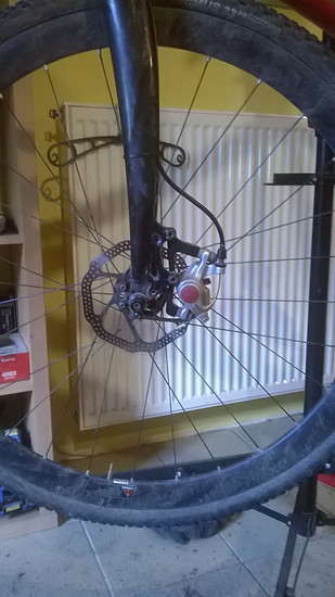 1936921-gei7vsnchwc4-wp_20151214_003-medium.jpg