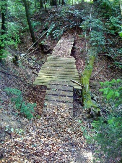 Gehrenberg_Trail_02.JPG