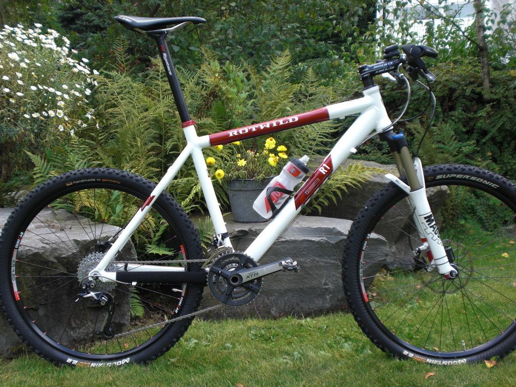 RotwildR.R1-HT001.JPG