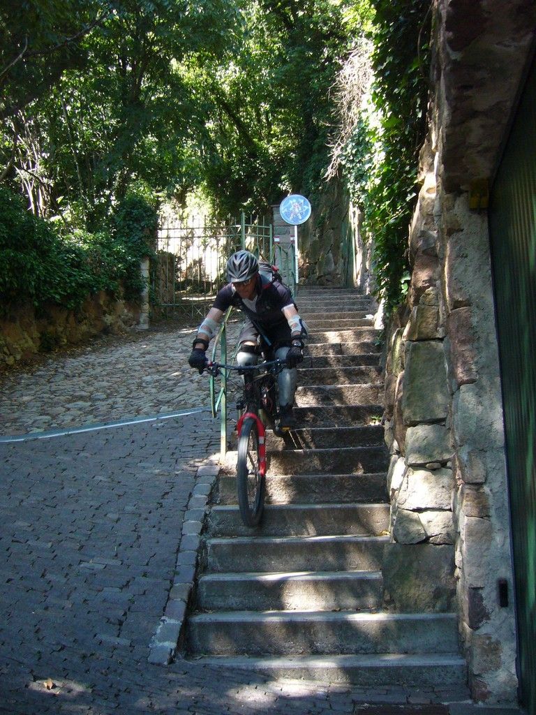 Bild084a.JPG