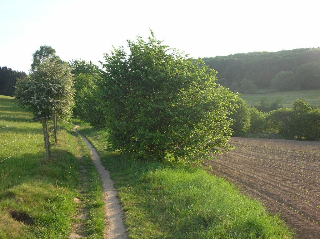 DSCN3635.JPG