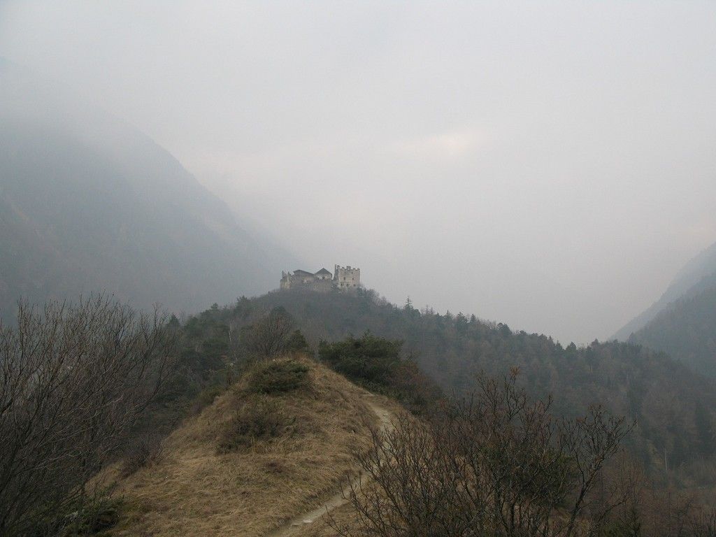 IMG_0223_1.jpg