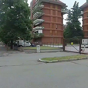62z0pz9z12z01.gif