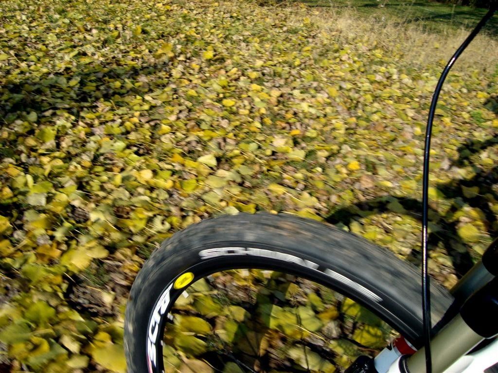 30.10.09FahrtzuChira2Large.JPG