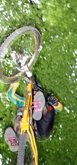 IMG_7487.JPG
