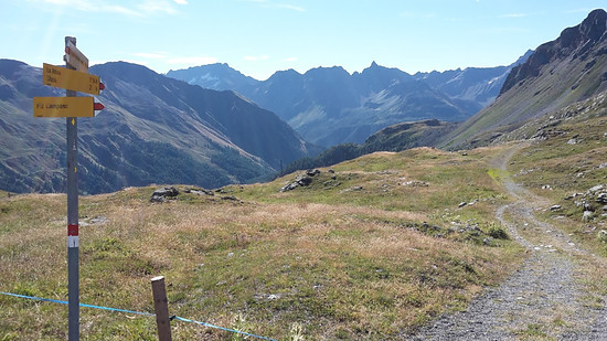 1880817-xldwu0r7id9p-entreefileminimizer-medium.jpg