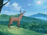 1133399018072.gif