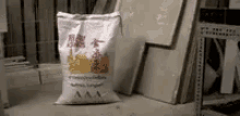 rice-bag.gif