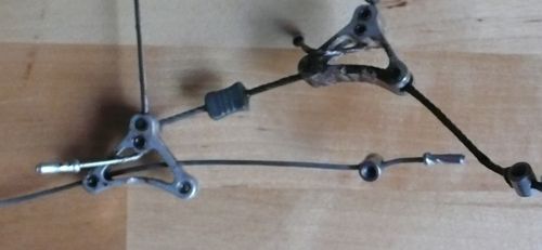 avid_triangle.JPG