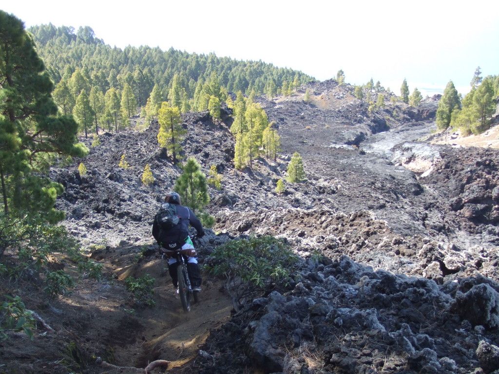 DSCF7299.JPG