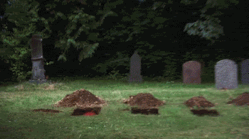 3YM.gif