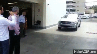 6axlCs.gif