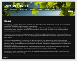 leichtzinn.de.tl