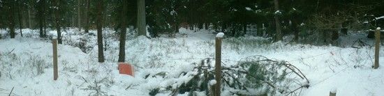 DSC01105.JPG