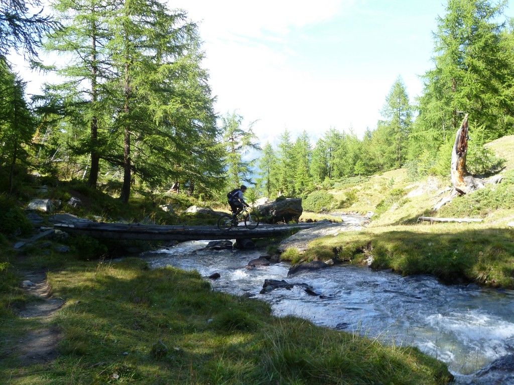 P1000336.JPG