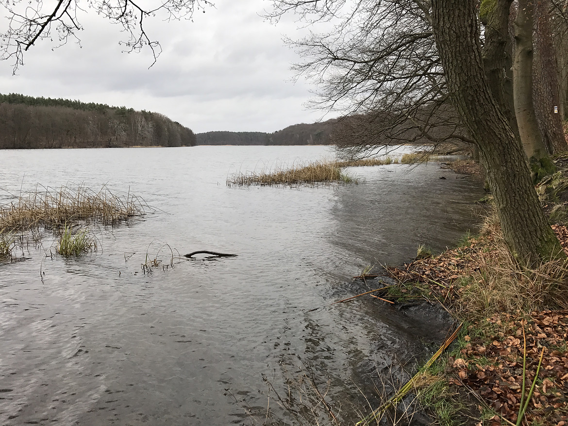 2235554-wvdyexuavnsq-2018_01_2815_41_18-large.jpg