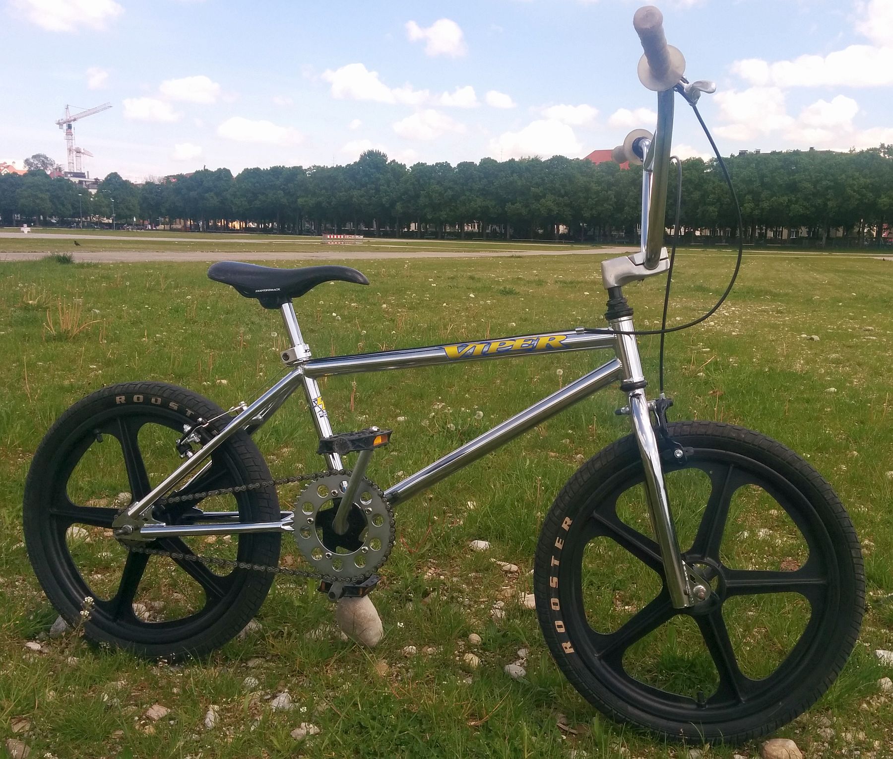 2148381-ibgoljverfb1-diamondback_viper-original.jpg