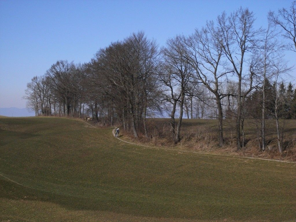 R0019880.JPG
