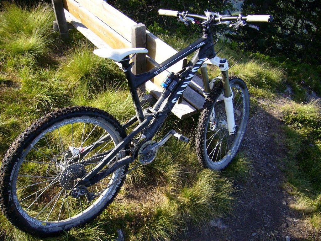 Canyon-Torque-Vertride.JPG