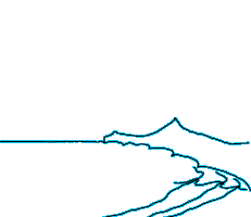 loop_neu.gif