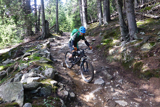 2182735-kwf0l56m6wpt-waldperformance-medium.jpg