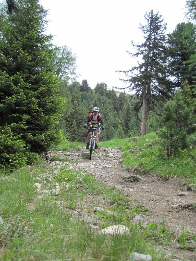 20110617_8.jpg