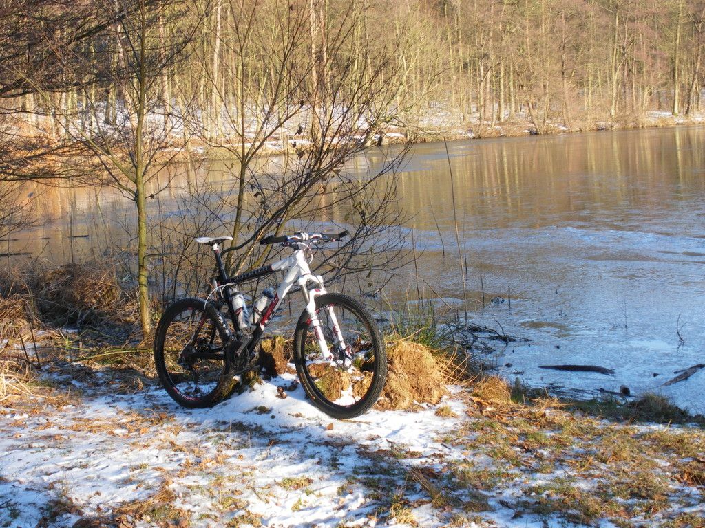 IMGP5672.JPG