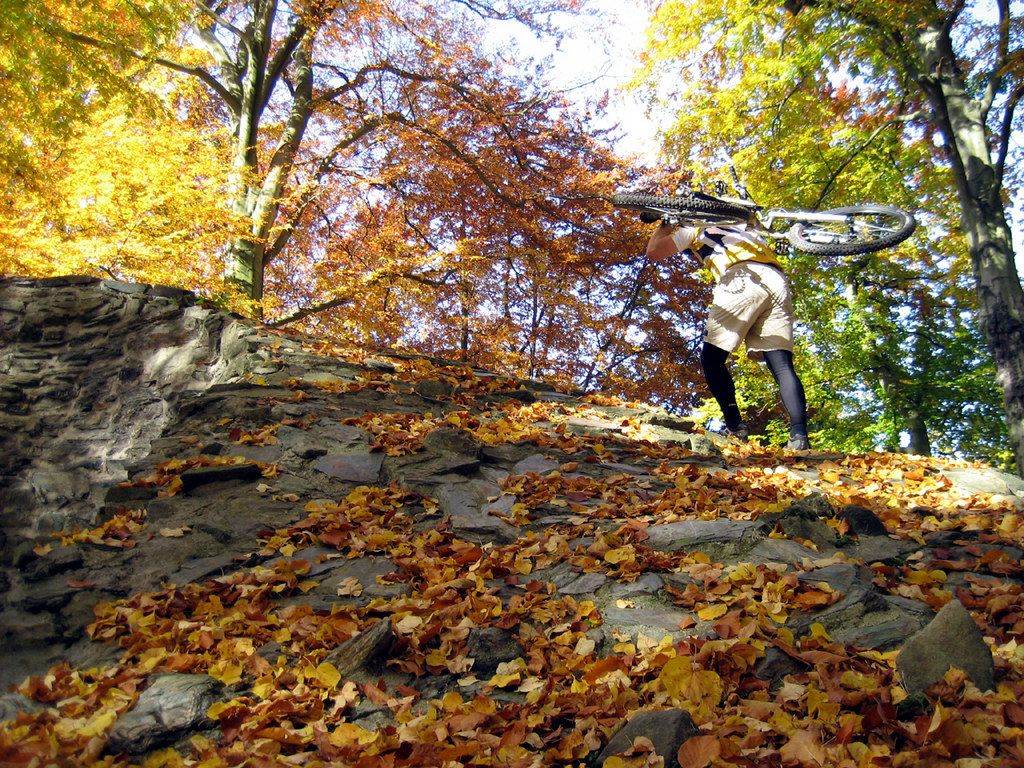 Herbstrail6.jpg