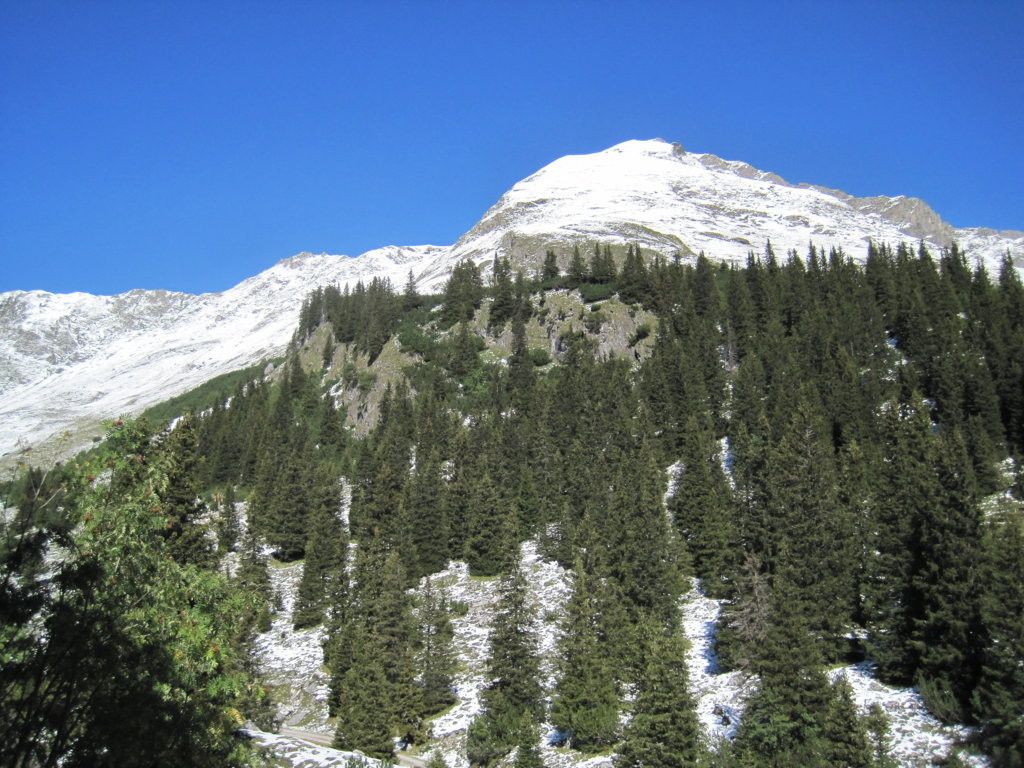 klein_IMG_2610.JPG