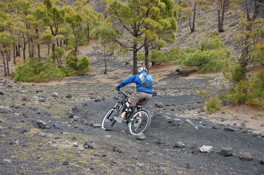 LaPalma201164.JPG