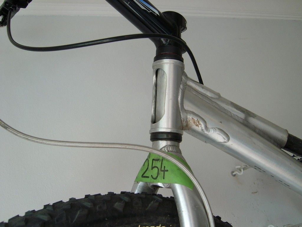 SL731585.JPG