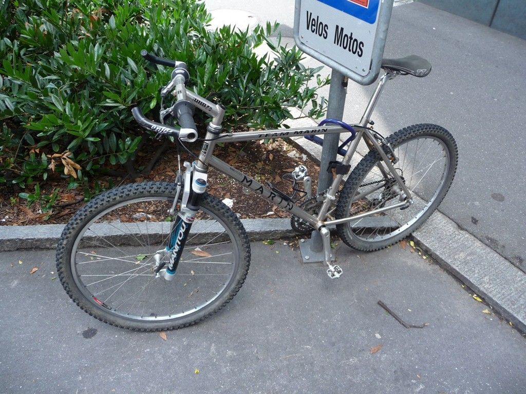 P1010034.JPG