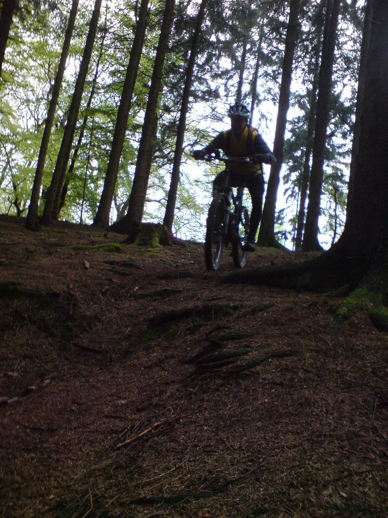 DSC00856.JPG