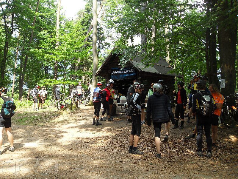 20110515_bza_867.jpg_800x600.jpg