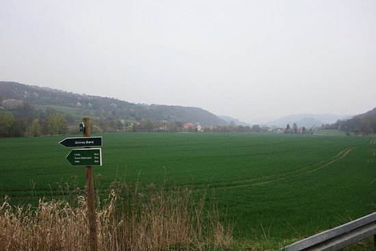 medium_DSC00683k.jpg