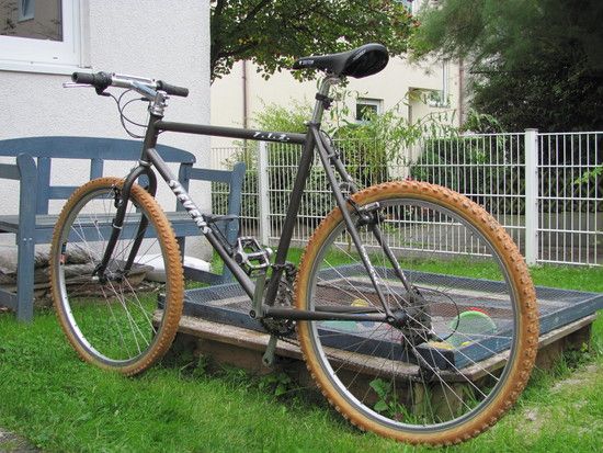 Sommer2010-II1991.JPG