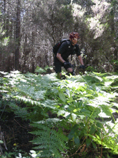 korsika1.gif