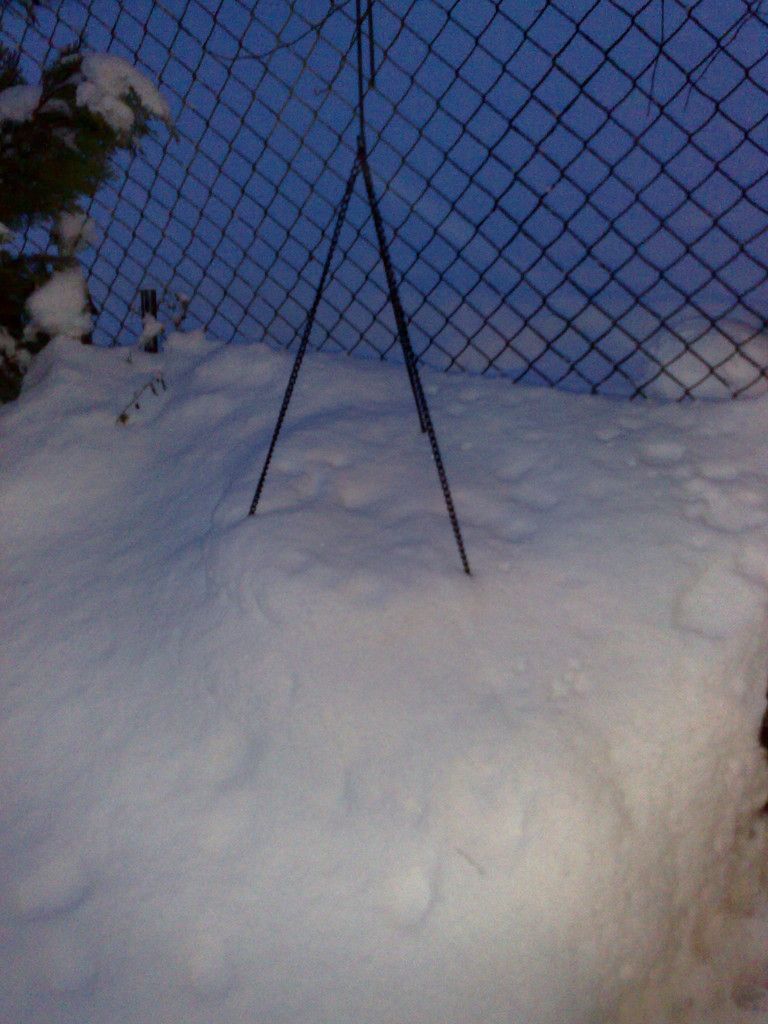 01022010016.jpg